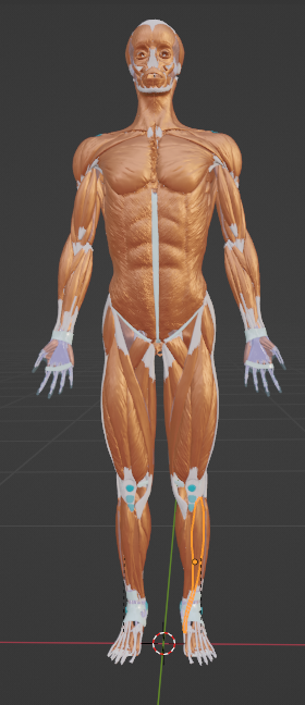 tibia-example